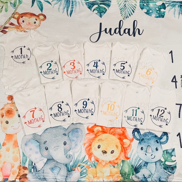 Baby months milestone onesies 1-12 months with personalized matching blanket - Picture 1 of 2